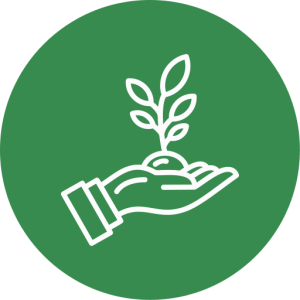 Une main tendue, paume vers le haut. Une plante pousse sur cette main. La main a les bords blancs. Le fond est vert.